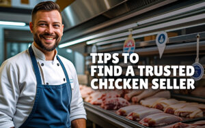 Find a Trusted Chicken Seller: A Few Simple Tips